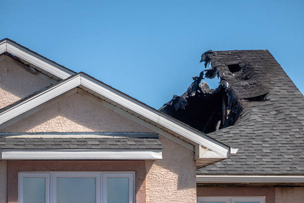 Top rated local Odor Removal specialists in Spring Valley, AZ